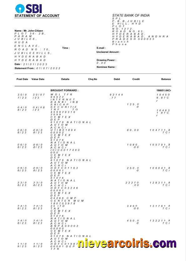 USA State Bank of India bank statement Word and PDF, 3 pages